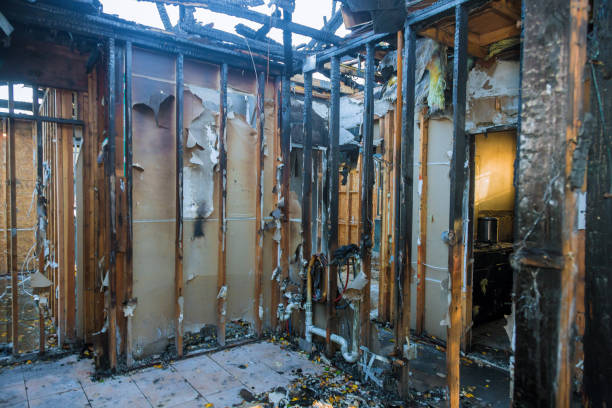Professional Smoke Damage Removal technician working in Camino, CA